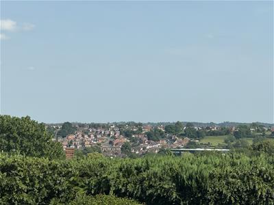 Picture 25